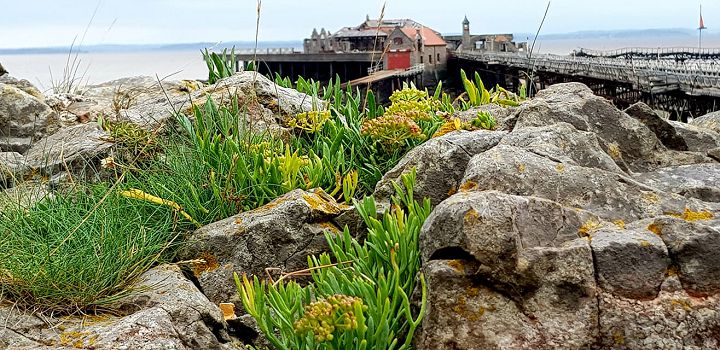 Photo Competition Entry #021