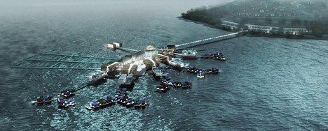 Blue Skies Photo #29