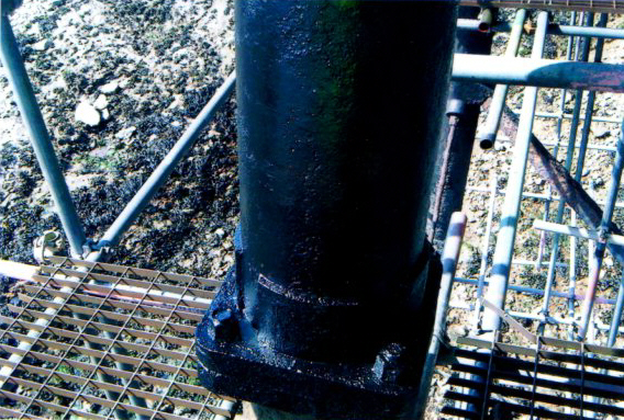 Birnbeck Repair Image #019