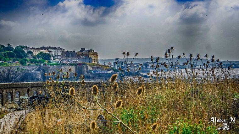 Birnbeck Gallery Image #20