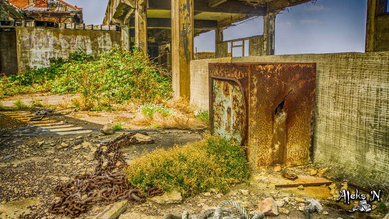 Birnbeck Gallery Image #24