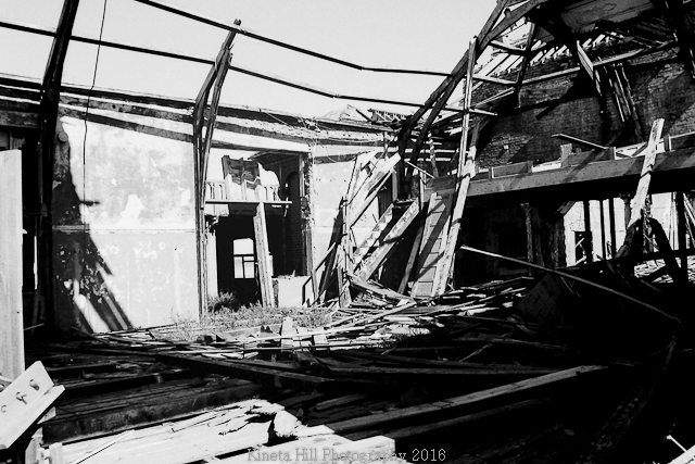 Kineta Hill Birnbeck Gallery Image #09