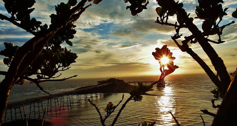 Birnbeck Guest Image #010